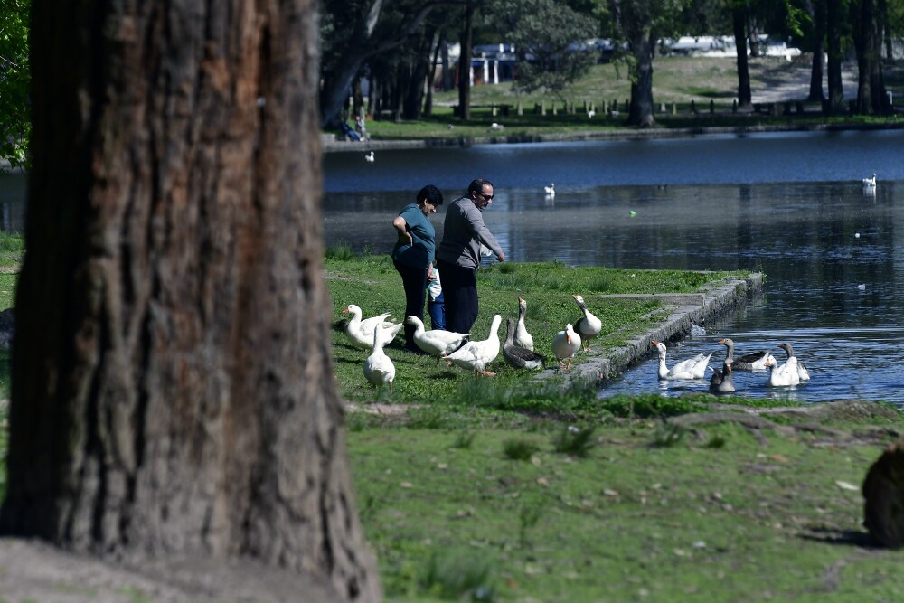 Parque Rivera. Foto: F. Ponzetto