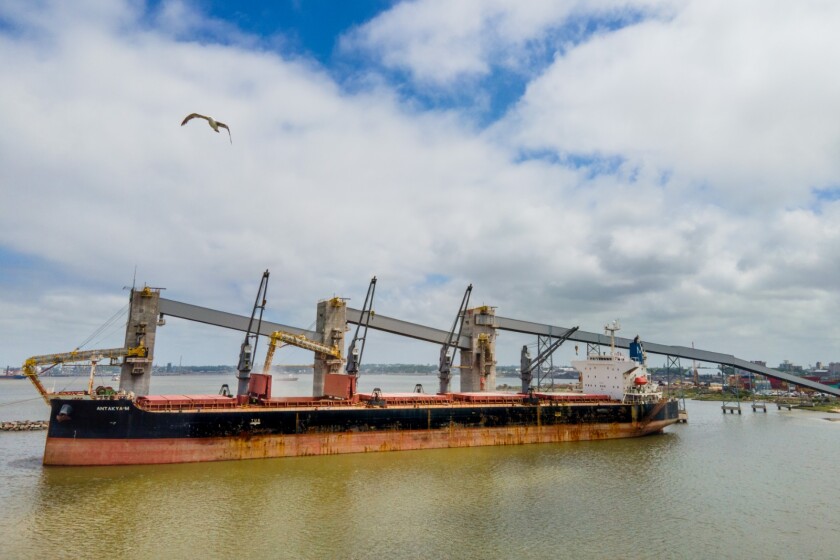 exportación