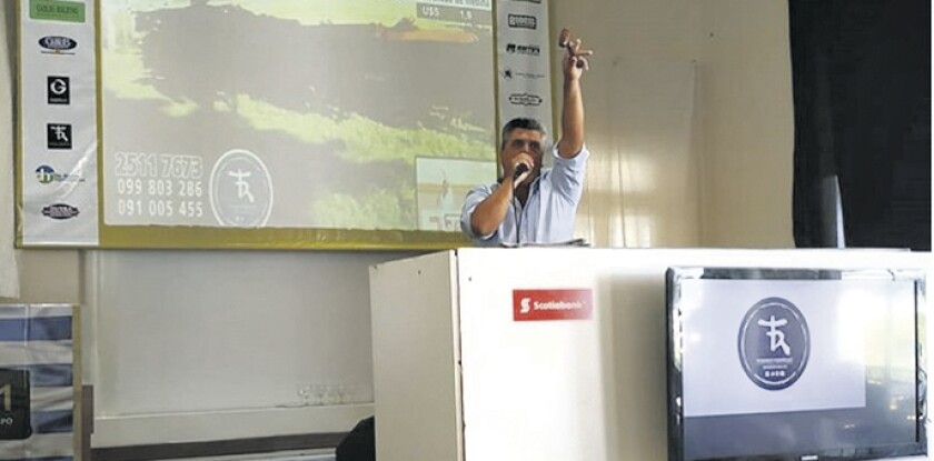 imagen-lote-21.jpg