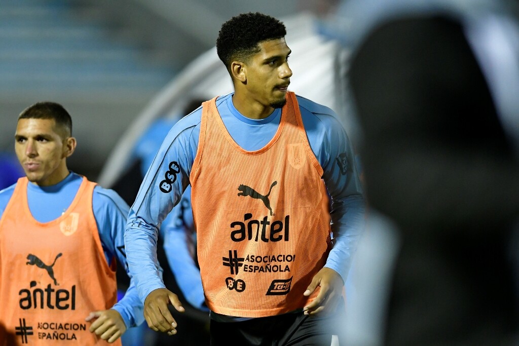 Ronald Araújo en la selección de Uruguay. Foto: Nicolás Pereyra.