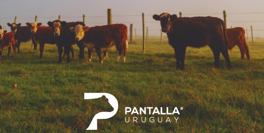 Previa PU marzo OK OK.jpg