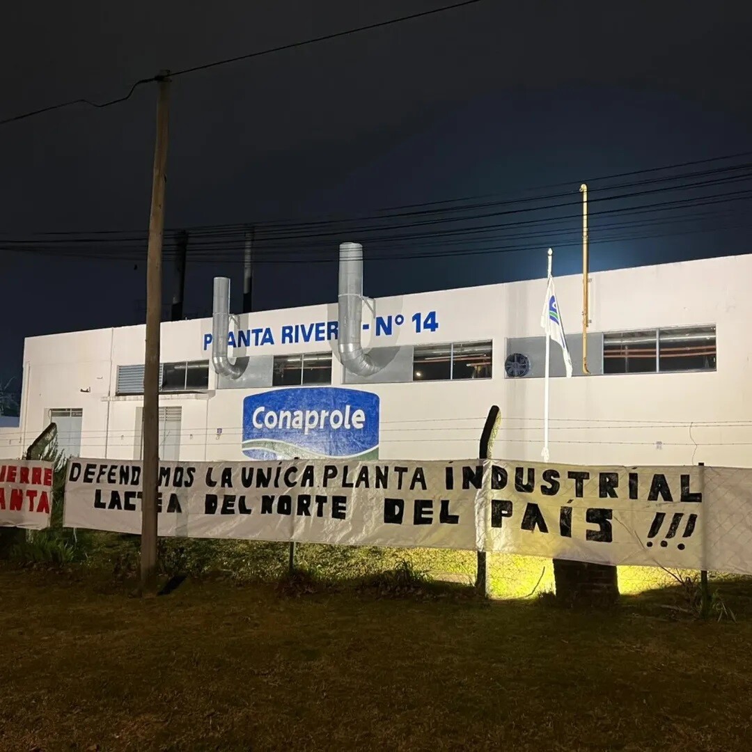 Planta 14 de Rivera.