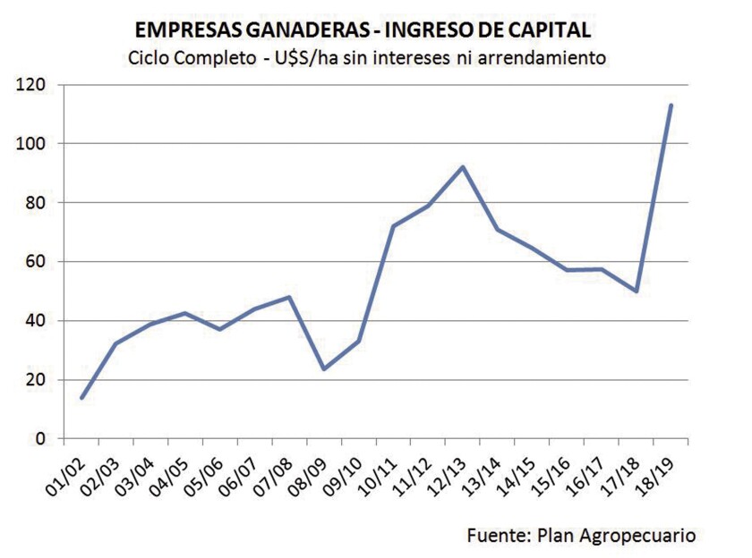 imagen-11.jpg
