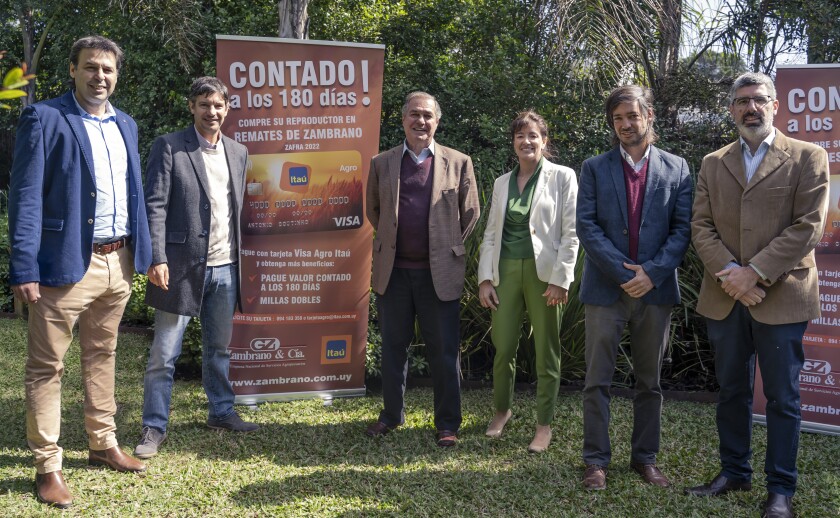 GZ Itaú.jpg