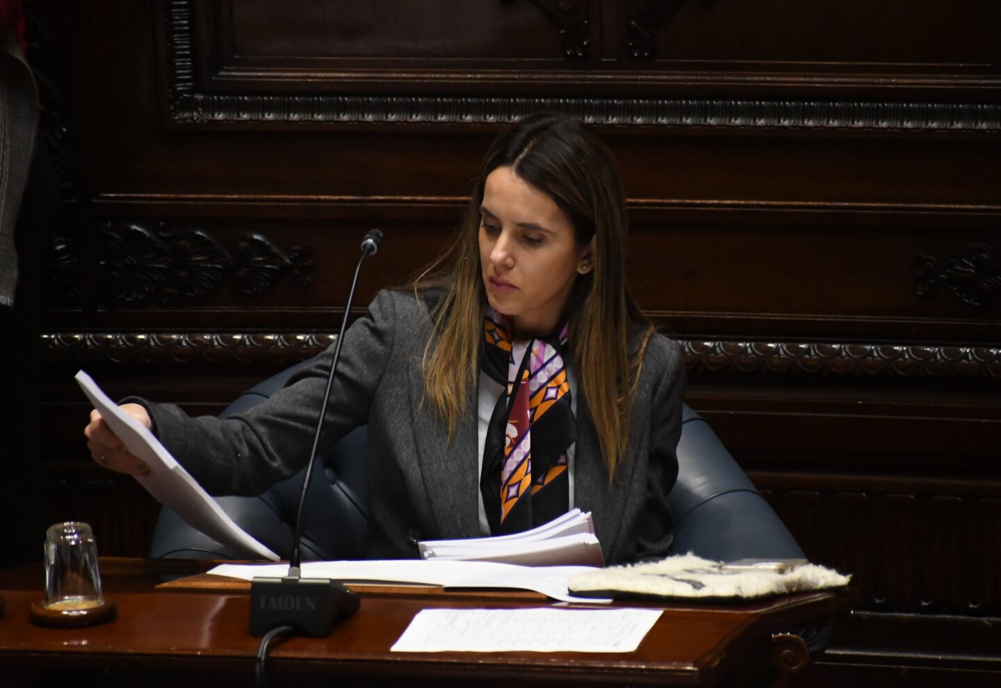Camara de Senadores