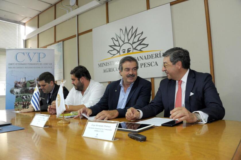 cvp-convenio.jpg