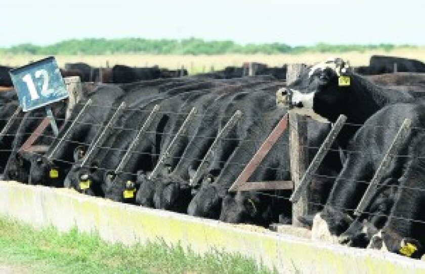feed-lot-300x194.jpg