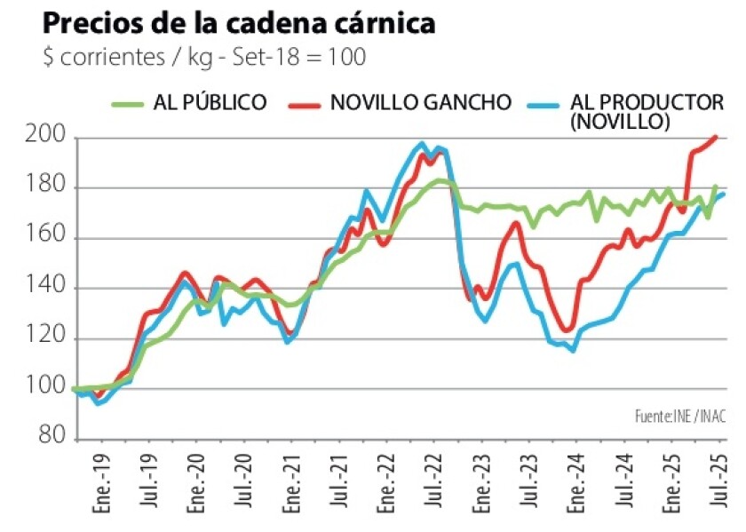 1 Precios de la cadena cárnica Al público, novillo al gancho y Al productor.jpg