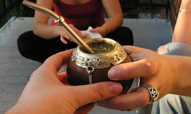 Los uruguayos son los que más yerba mate consumen per cápita en el mundo; 9 kilos al año.