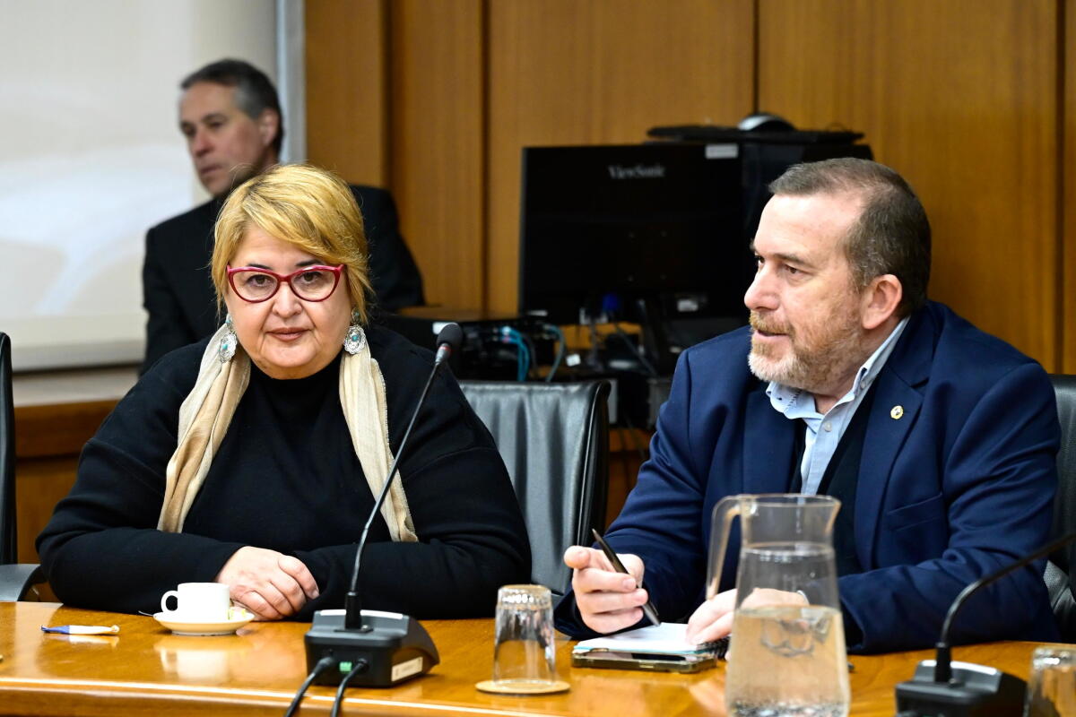 Ministra de Defensa, Sandra Lazo, junto al subsecretario Joel Rodríguez.