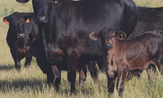 Foto nota 1 lunes.jpg