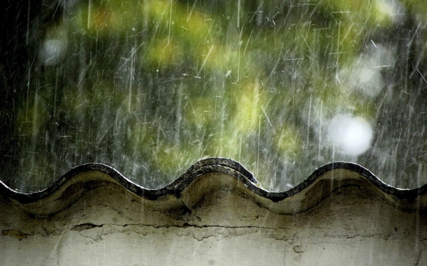 Lluvia en el campo. Foto: Valor Soja.