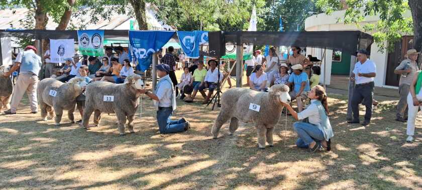Expo Ovina Melo ok ok .jpg