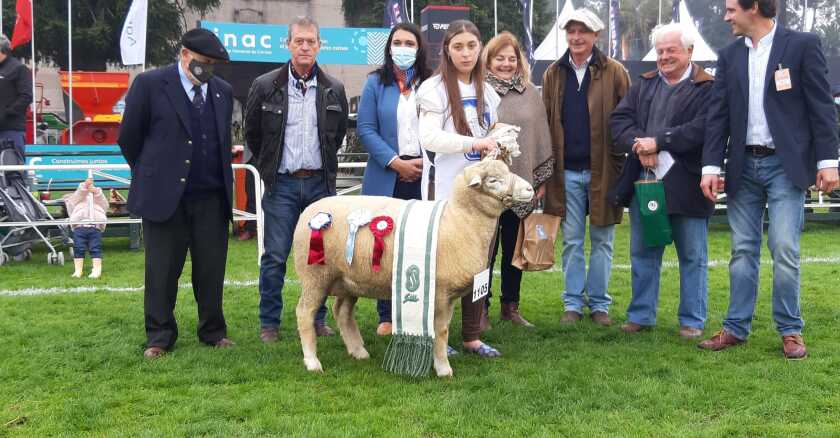 Carmen Sa´nchez, directora de ANDE, entregando el Gran Campeonato en la raza Ile de France