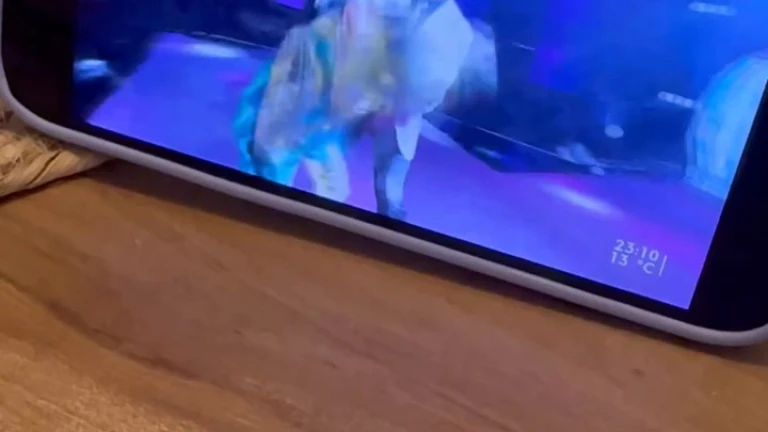 Laurita mostró en redes su paso por La Máscara