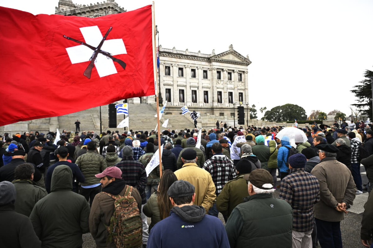 Manifestación por proyectos del gobierno para mayor regulación de armas.