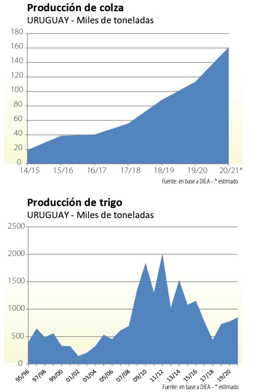 imagen-imagen-nico-22-11-page-0001-1.jpg