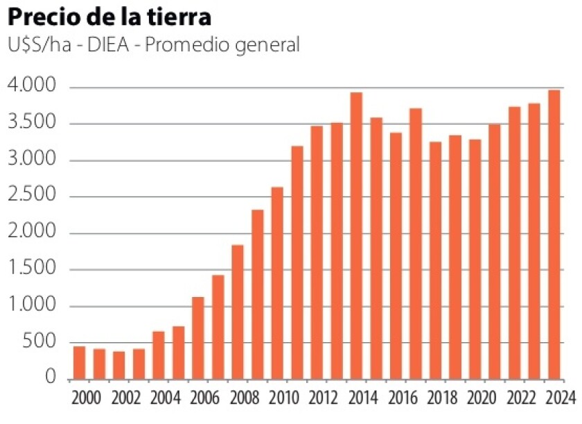 1 Precio de la tierra.jpg