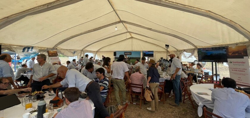 Lote sábado.jpg