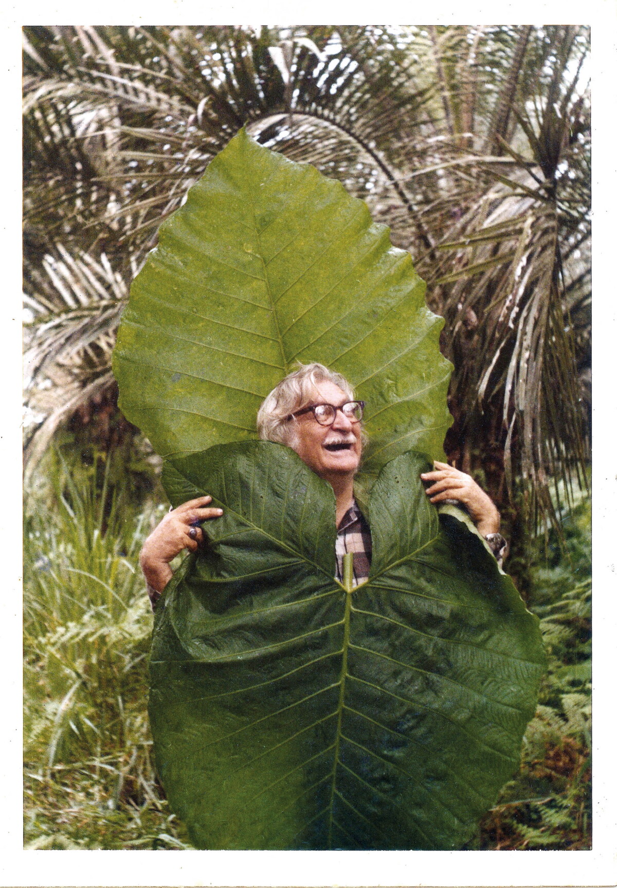 Modernismo tropical