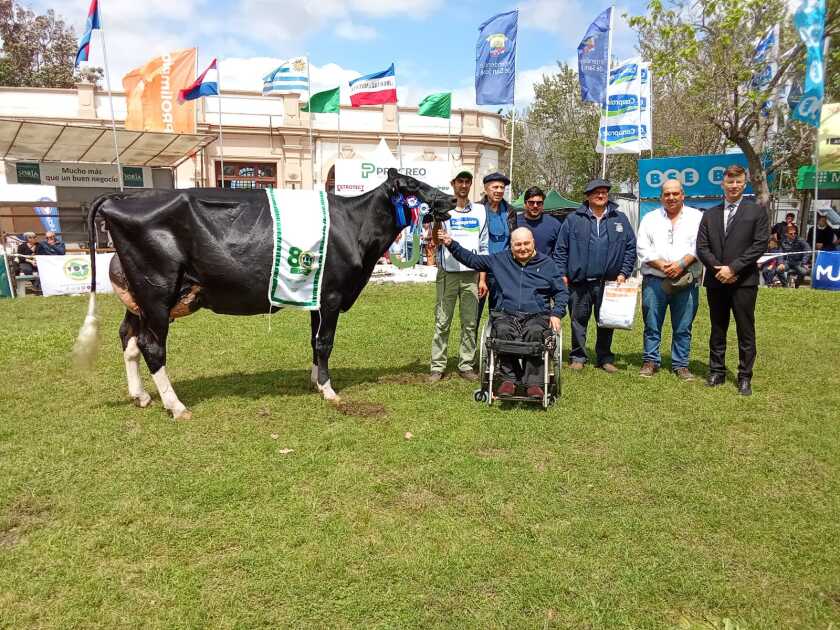 Expo San José.jpeg