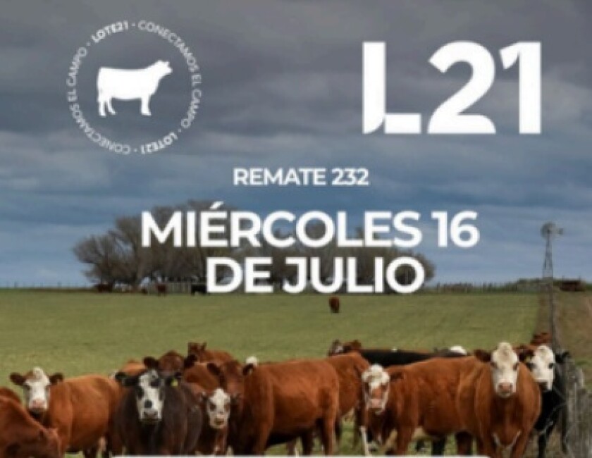 Foto previa Lote 21.jpg