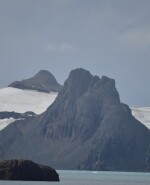 "La humanidad se enfrenta a la peor crisis de gripe aviar jamás registrada", advierten los especialistas