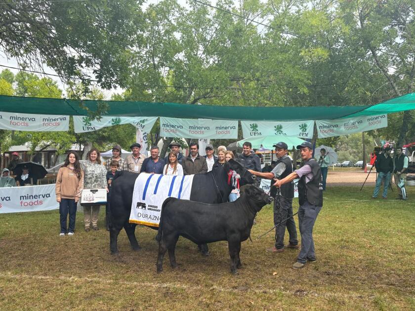 Gran Campeona de Los Retazos
