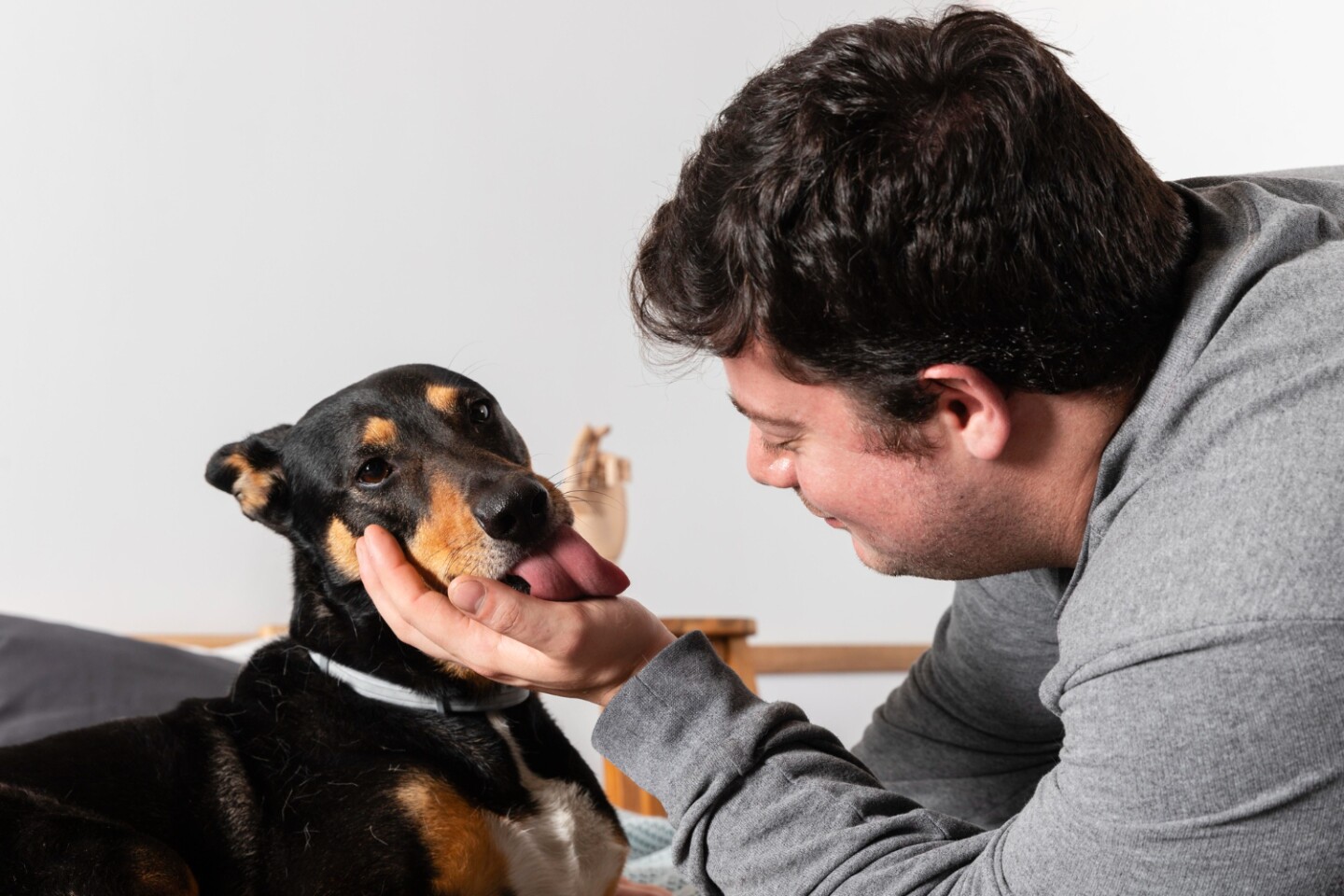 Perro mascota
