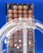 Bolillero del 5 de Oro Revancha.