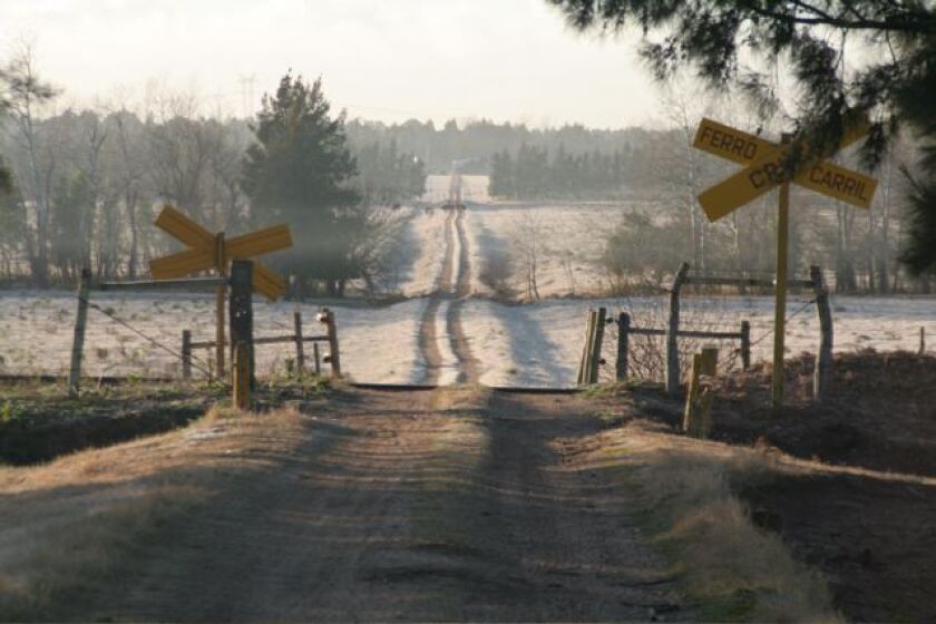frost-8810.jpg