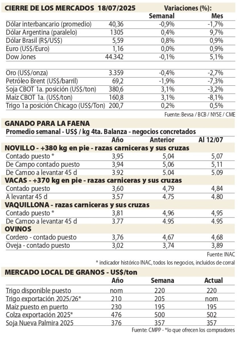 Cuadros NcL.jpg