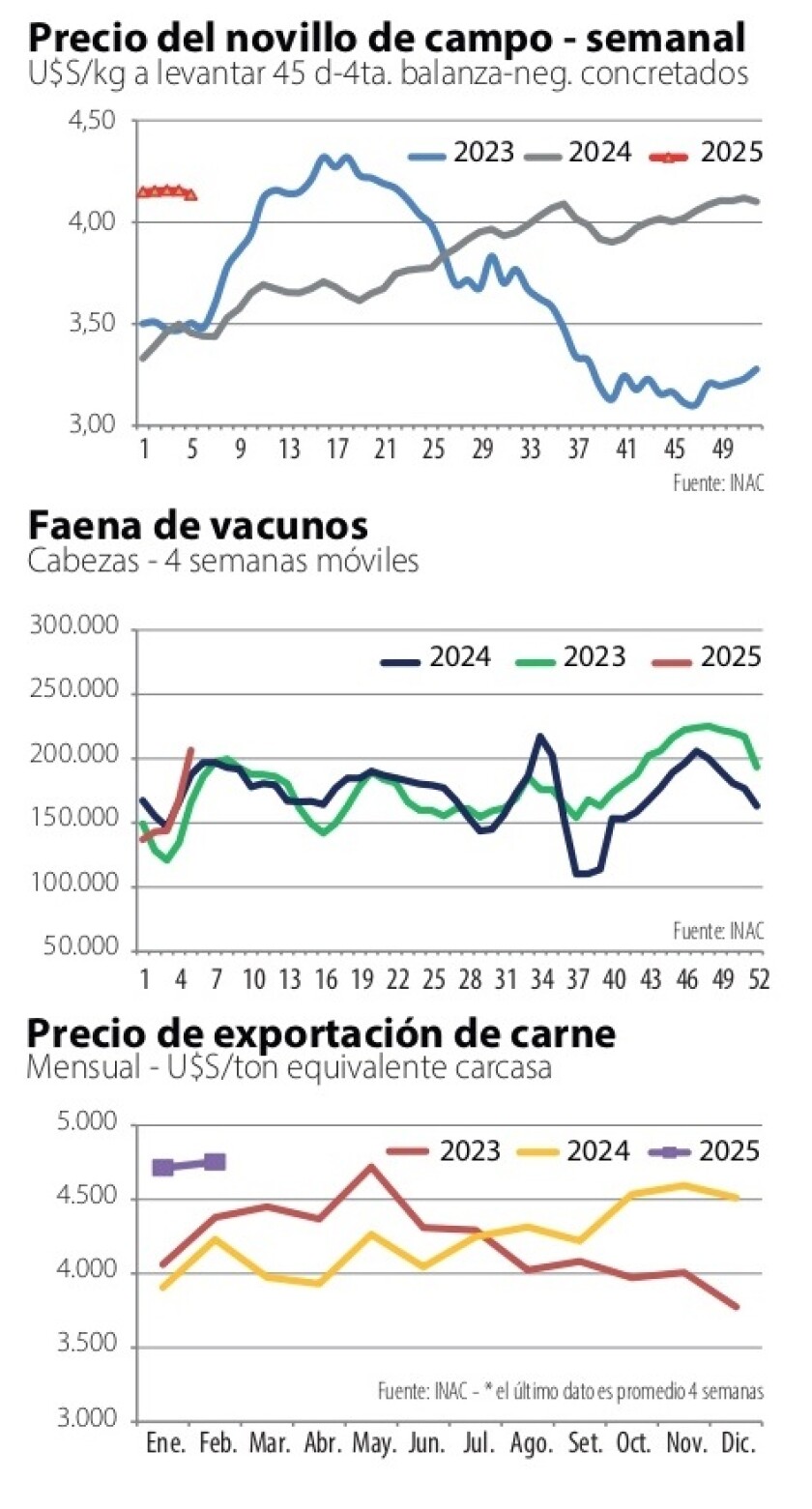 Gráficas NcL.jpg