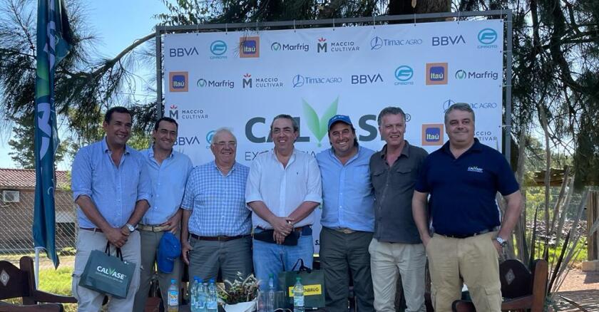 El foco está puesto en las raíces: elegir las especies, la cantidad y en un pastoreo rotativo.