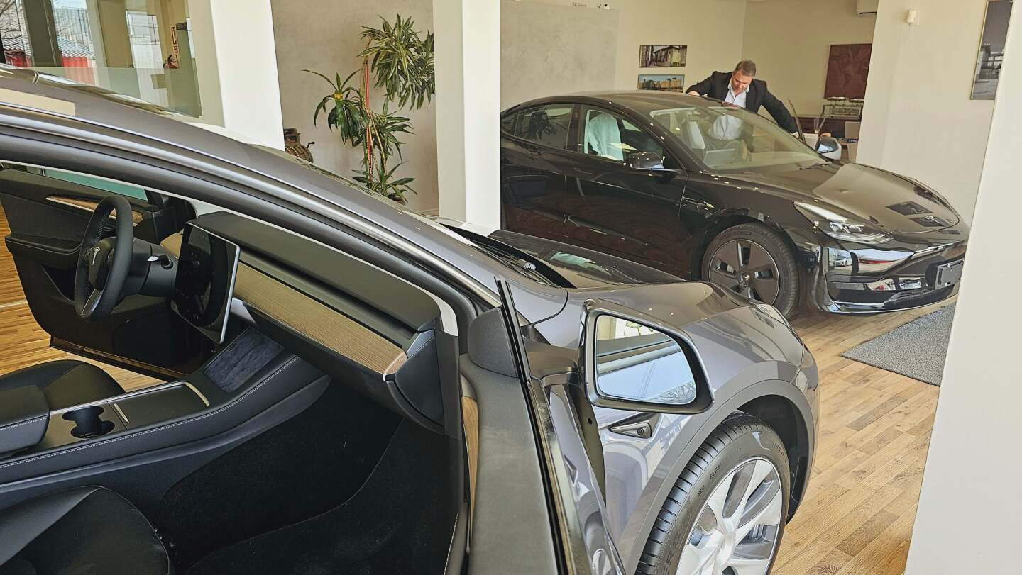concesionario tesla - Ricardo Figueredo.jpg