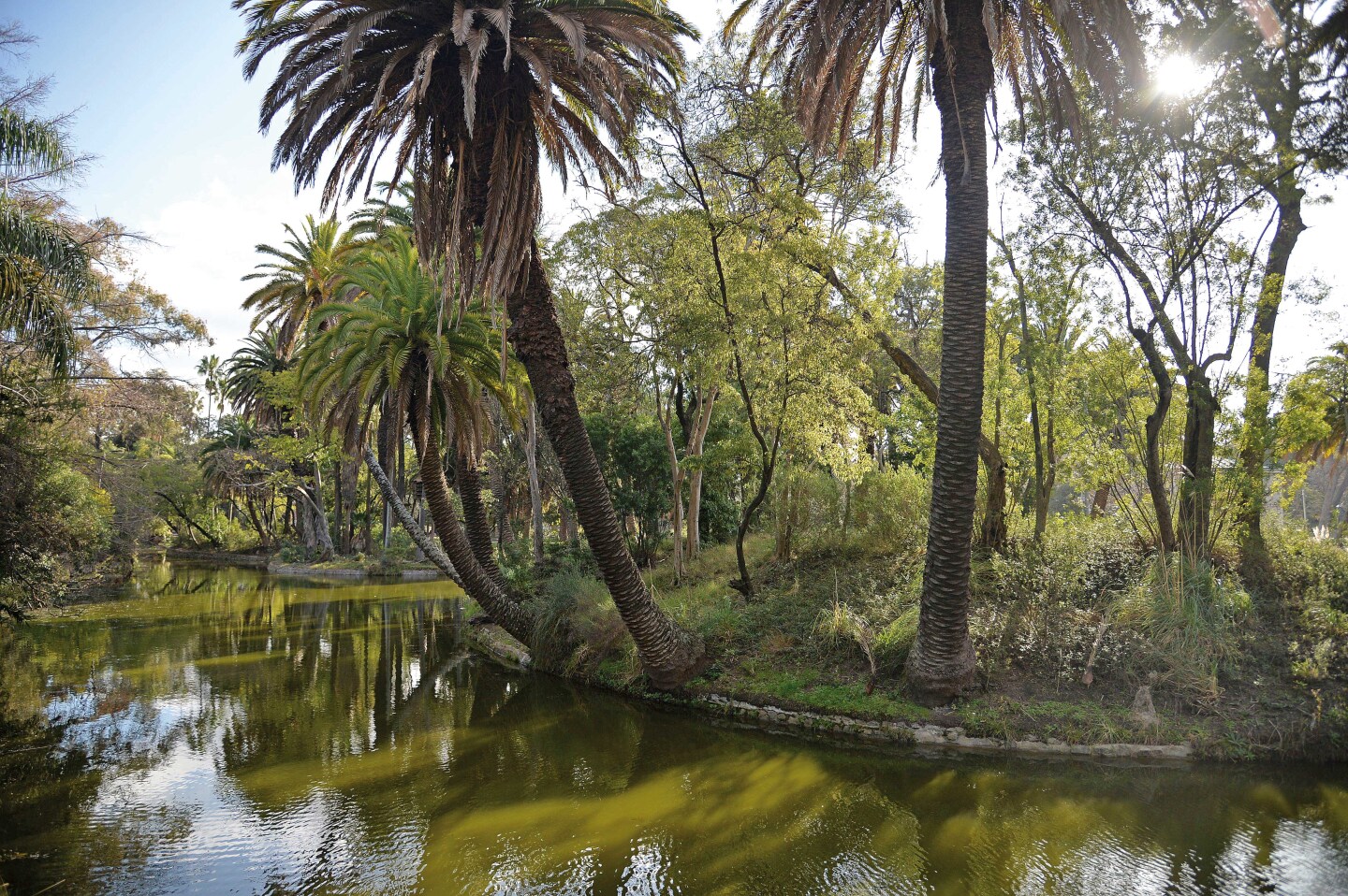Lago del Parque Rodo