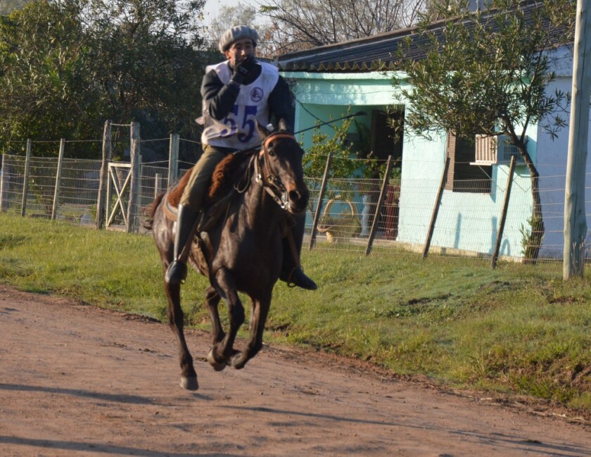 Ganadora Marcha