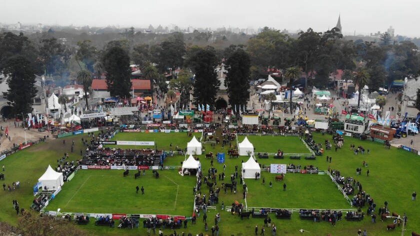 DSC_0114.00_46_59_49.Imagen fija070.jpg