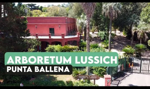 Rincones escondidos: Arboretum Lussich, un arboreto de 192 hectáreas de extensión