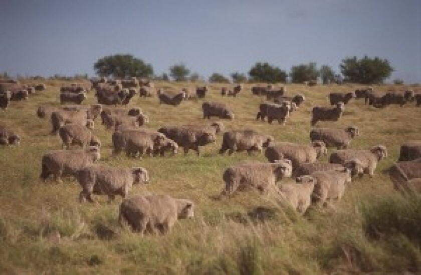 en el campo