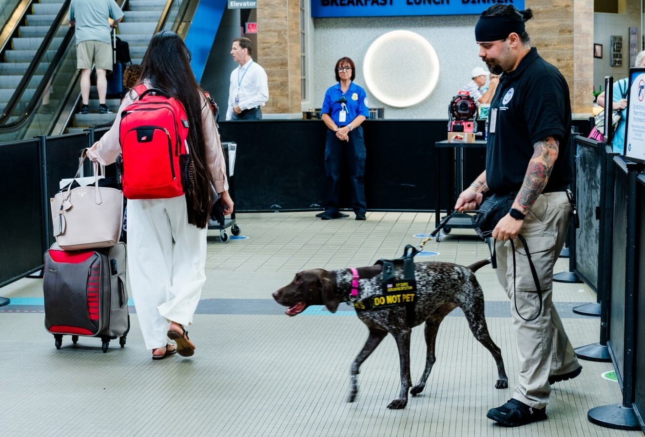 Perro de seguridad en un aeropuerto de Estados Unidos.