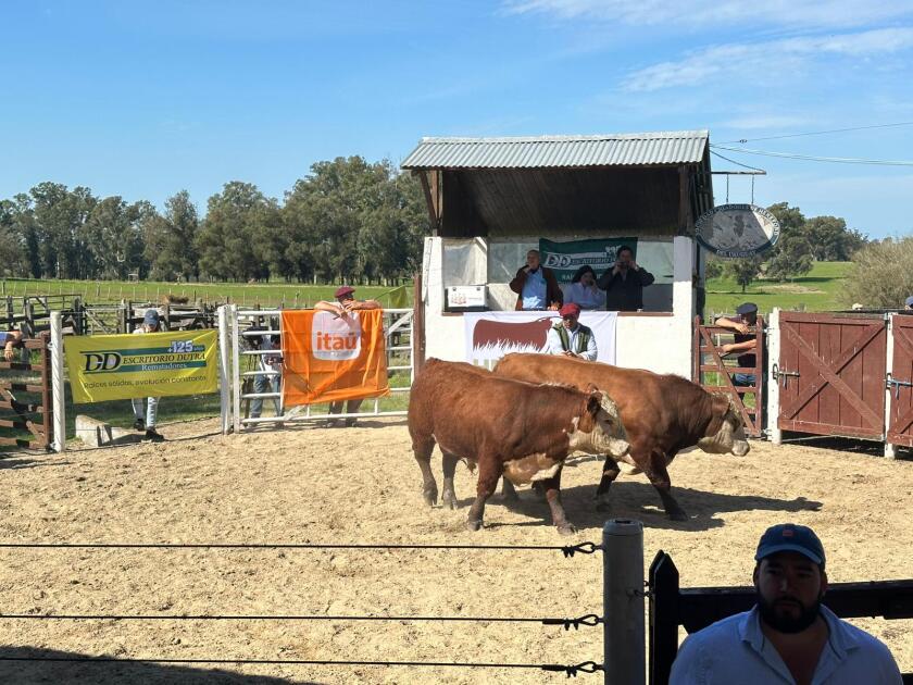 Los Toros de Kiyú 2025.
