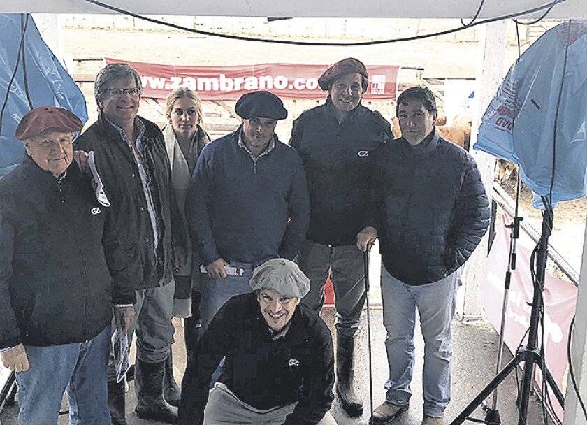 mochos-rocha-1.jpg