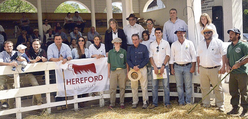 imagen-remate-bordaberry-srd-victor-d.jpg