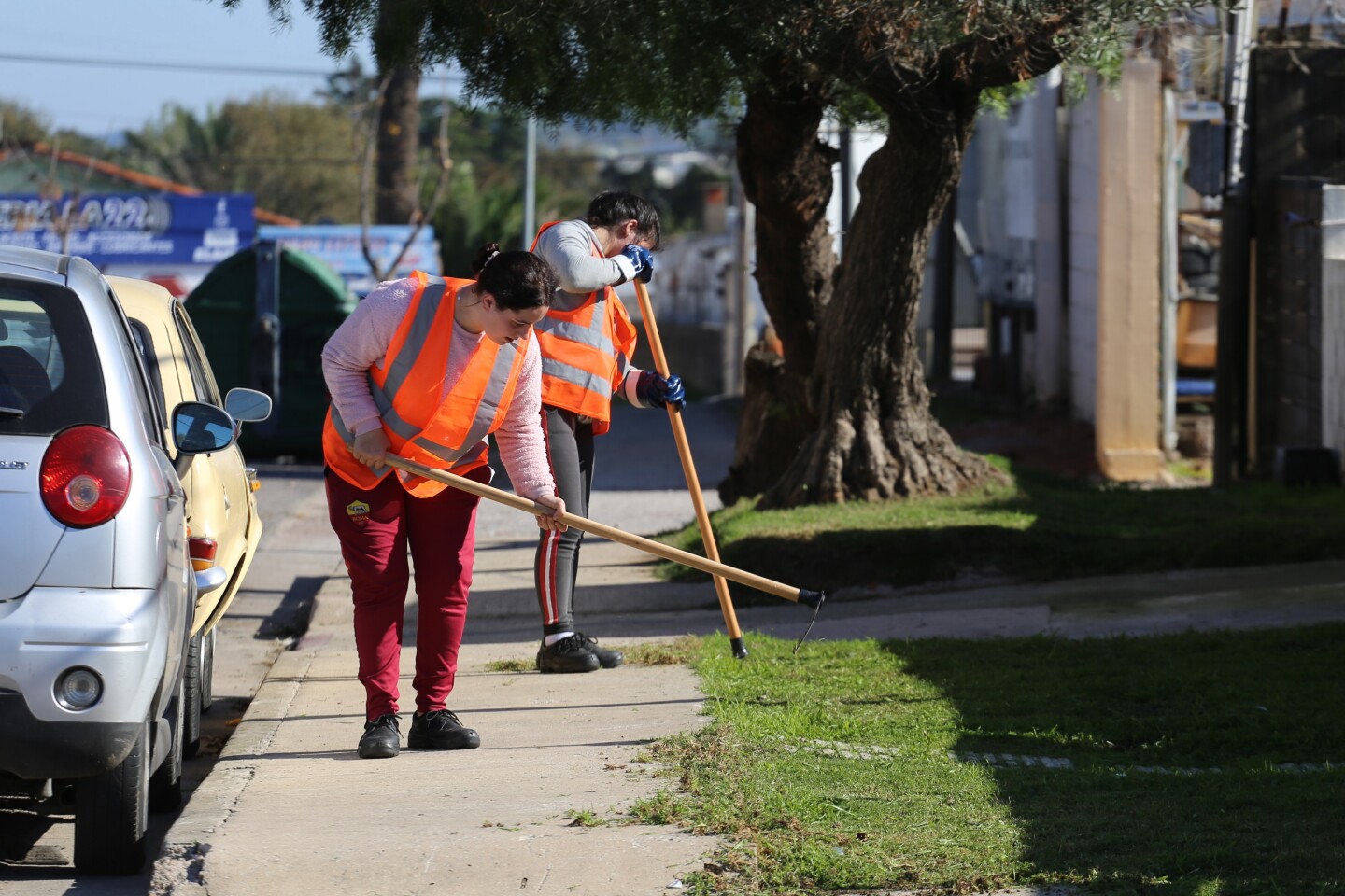 Personas en Maldonado realizando tareas de trabajos temporales bajo el antiguo programa Jornales Solidarios.