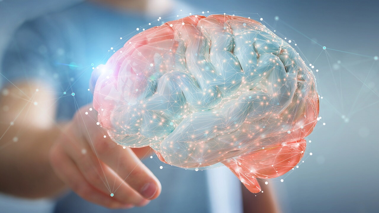 Cerebro.jpg