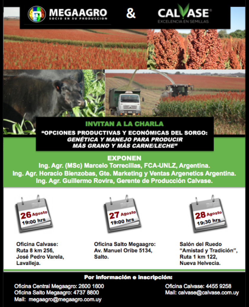 aa4b9b2c-2626-4612-8570-5822a91953b2