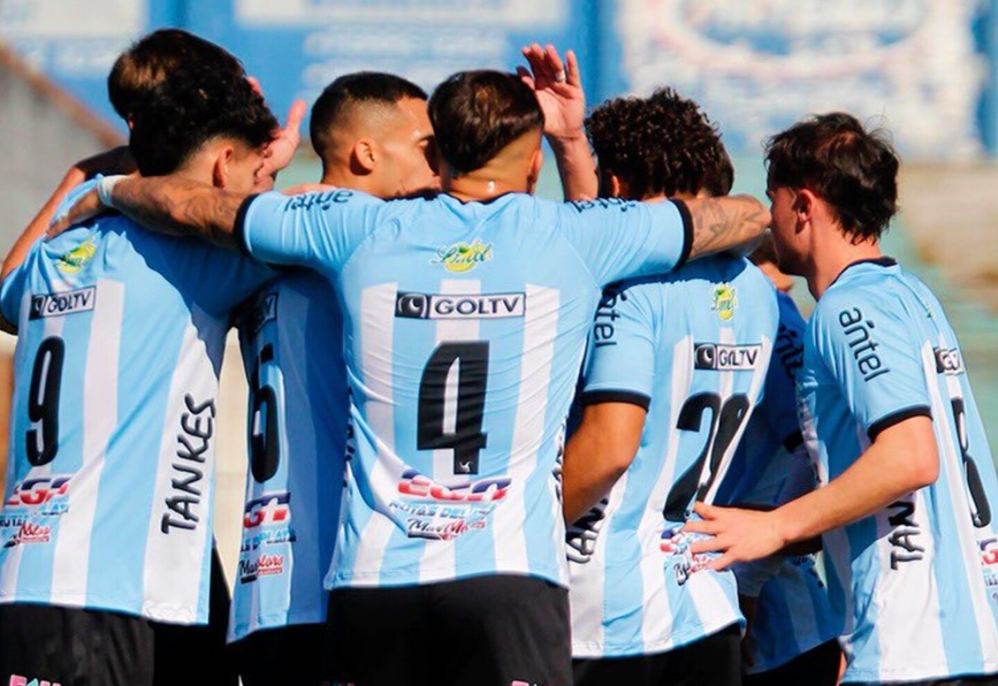 Jugadores de Cerro festejan en el Estadio Luis Tróccoli.