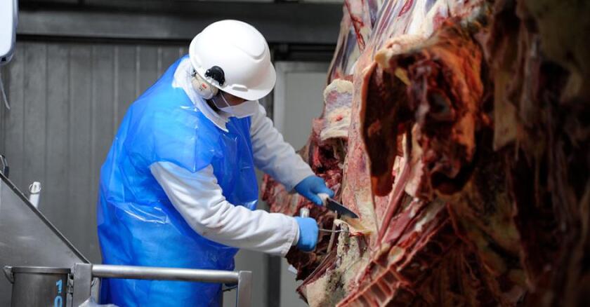 Frigorífico, carne vacuna