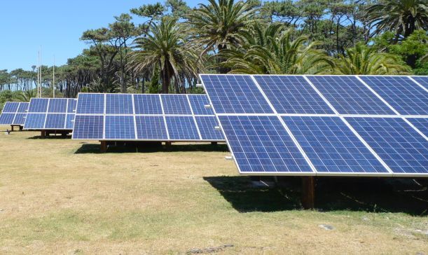 Parque de paneles para tomar energía solar. Foto: Ricardo Figueredo